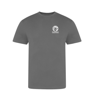 The 100 Tee